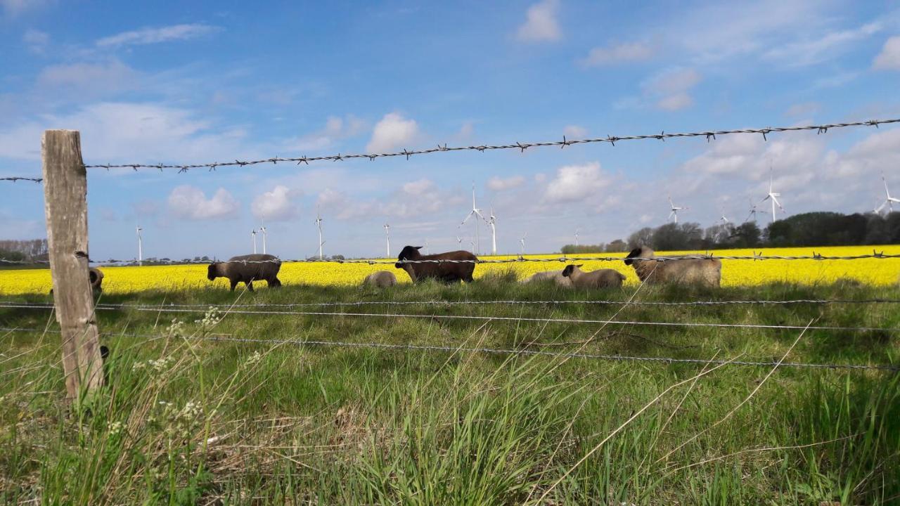 Ferienwohnung Wattkieker Büsum Kültér fotó